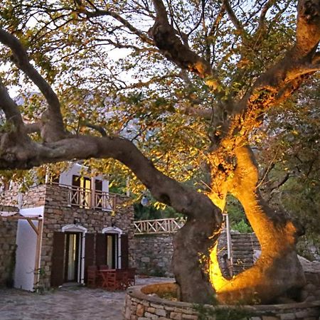 Вілла Ικαριων Γη Manganitis Екстер'єр фото